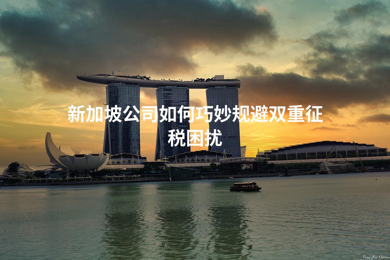 新加坡公司如何巧妙规避双重征税困扰