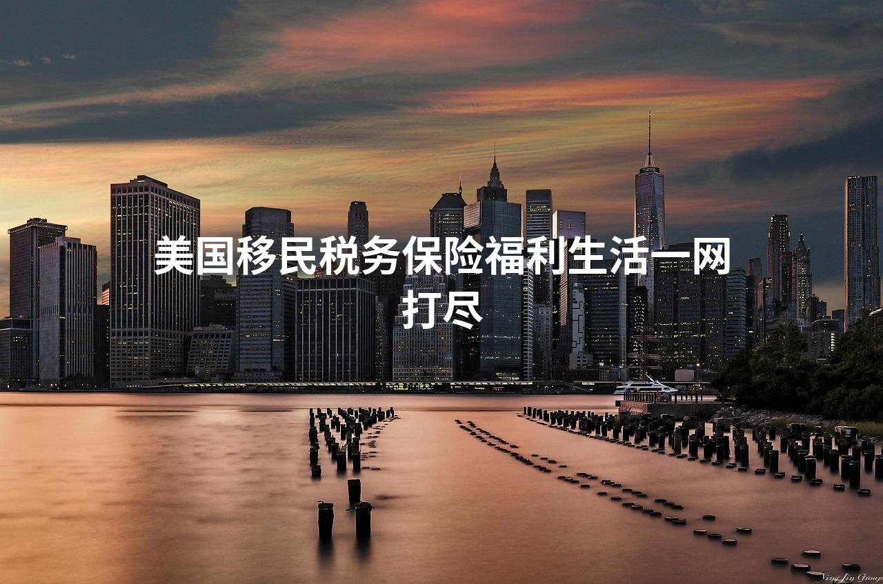 美国移民税务保险福利生活一网打尽