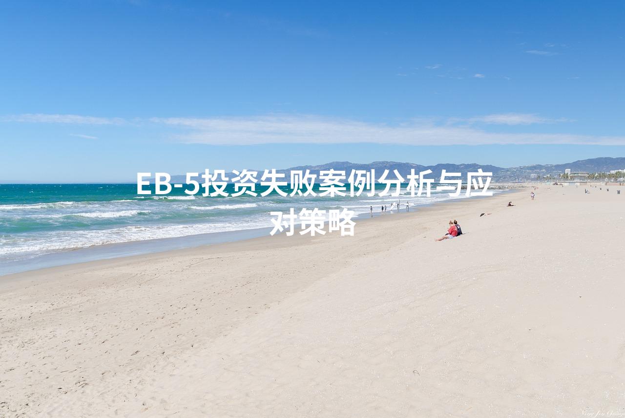 EB-5投资失败案例分析与应对策略