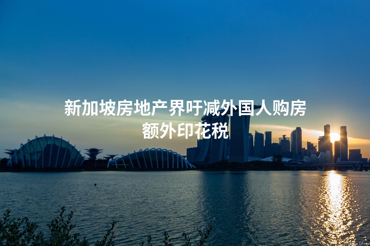 新加坡房地产界吁减外国人购房额外印花税