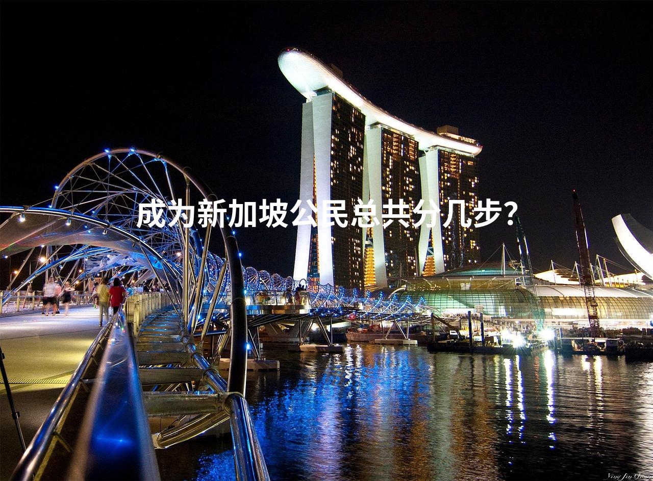 成为新加坡公民总共分几步？