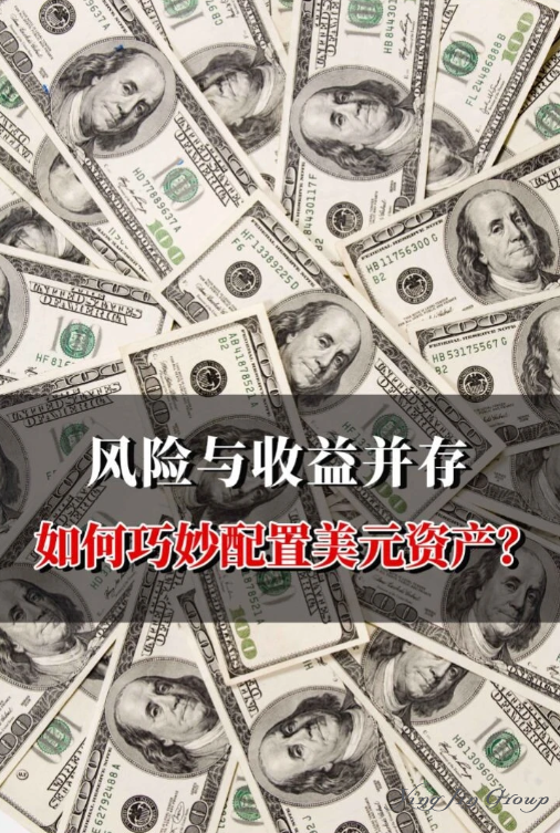 风险与收益并存，如何巧妙配置美元资产？