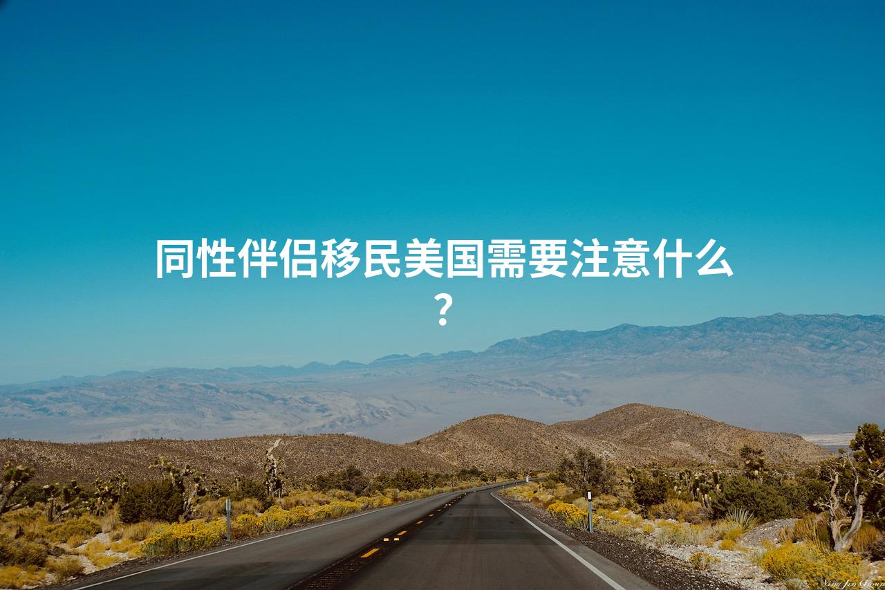 同性伴侣移民美国需要注意什么？