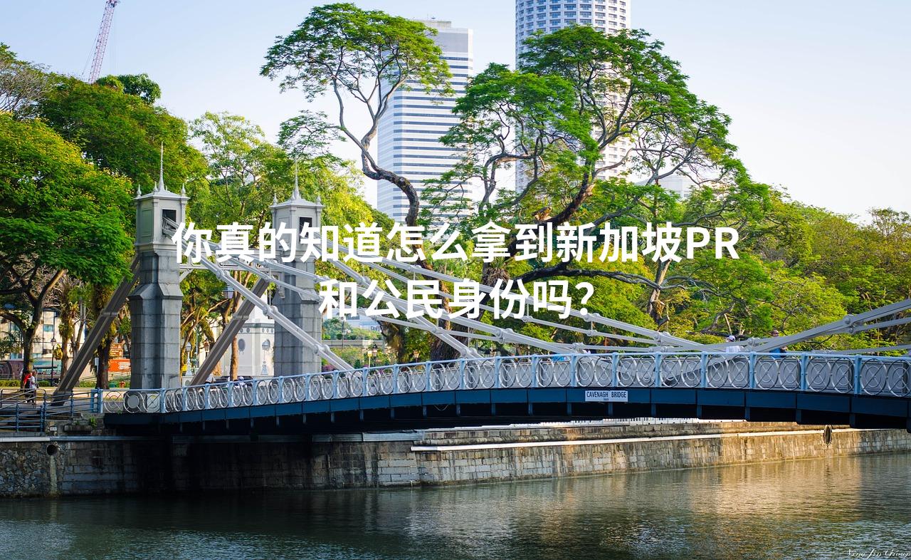 你真的知道怎么拿到新加坡PR和公民身份吗？