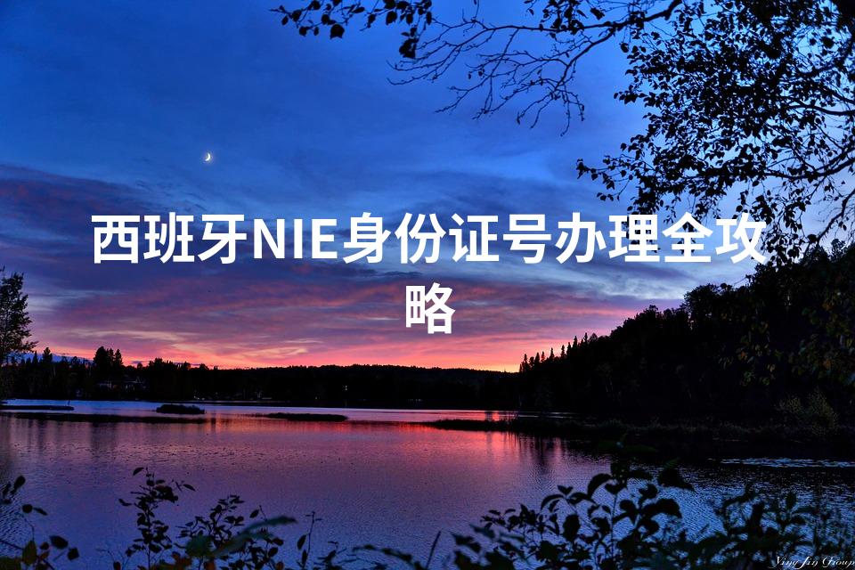 西班牙NIE身份证号办理全攻略