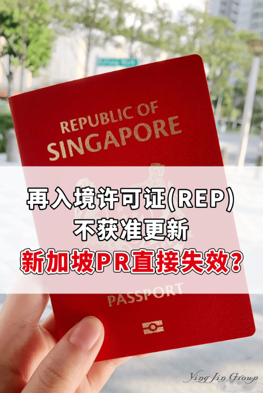 再入境许可证（REP）不获准更新，新加坡