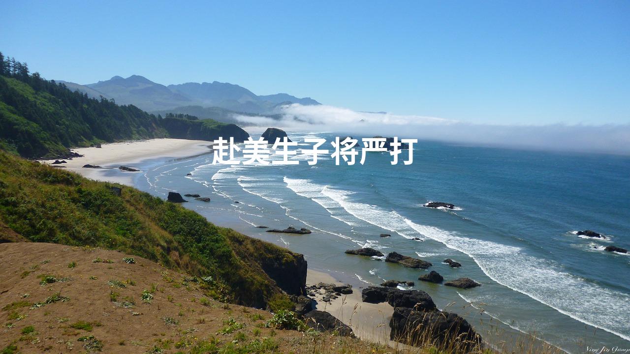赴美生子将严打