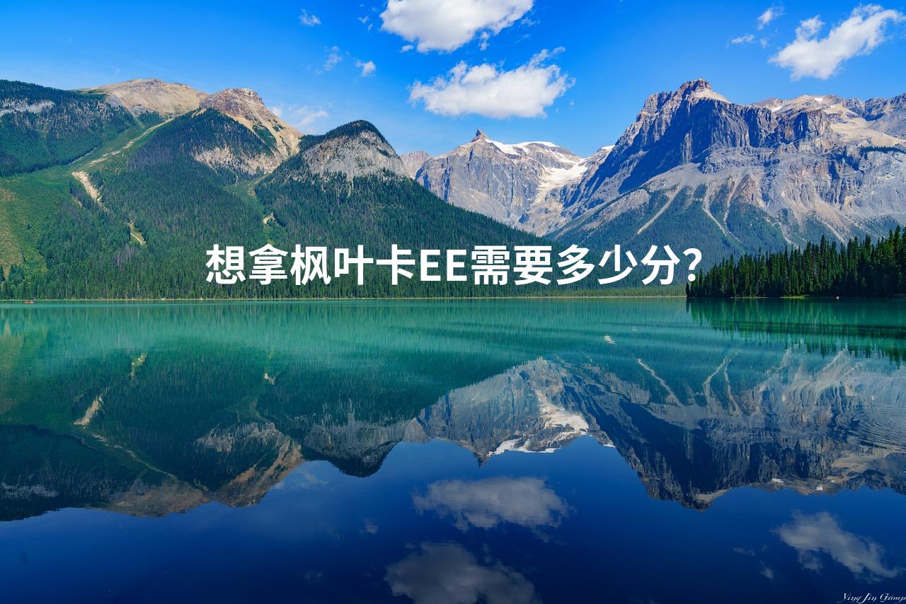 想拿枫叶卡EE需要多少分？