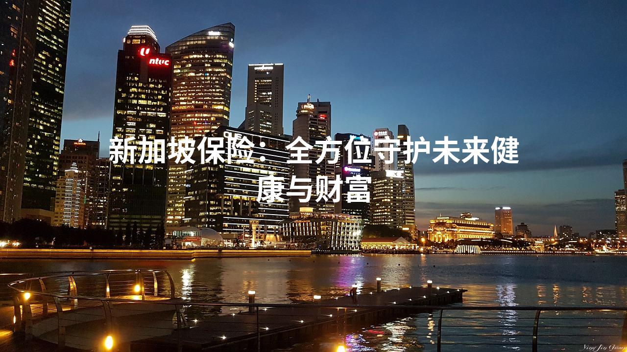 新加坡保险：全方位守护未来健康与财富