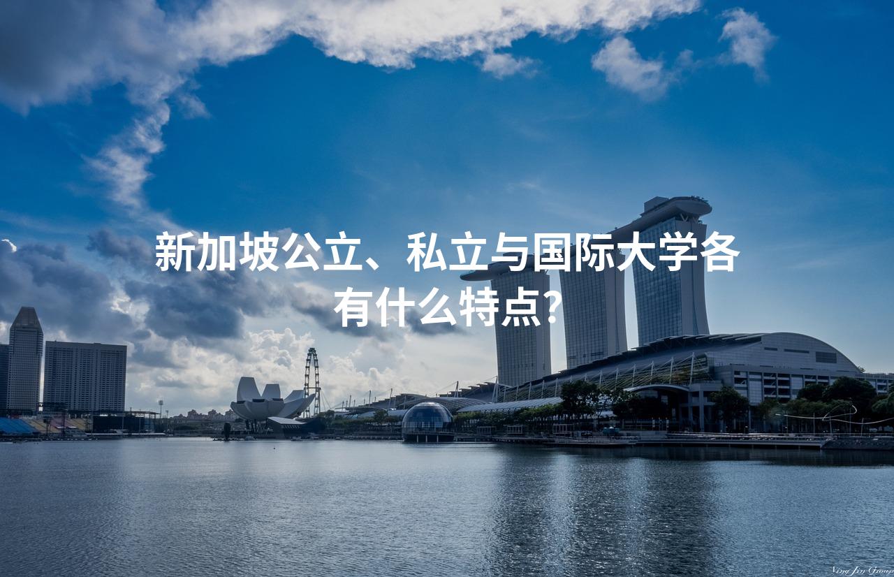 新加坡公立、私立与国际大学各有什么特点？