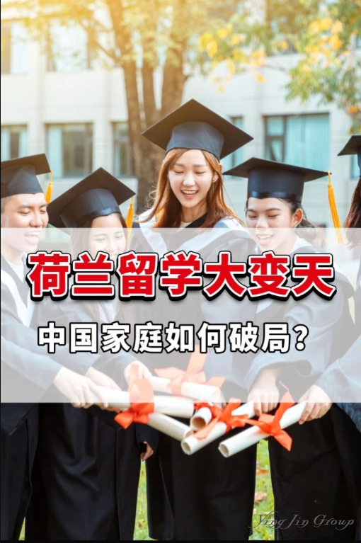 荷兰留学大变天！中国家庭如何破局？