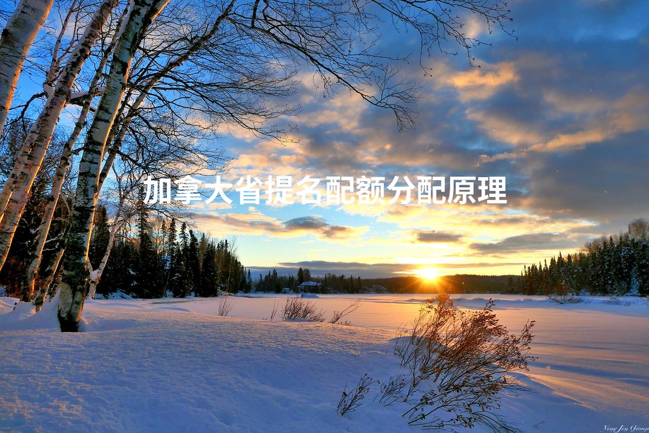 加拿大省提名配额分配原理
