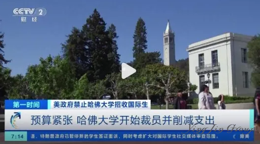 深度解析，特朗普为什么要暂停留美学签？