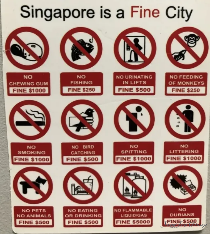 在新加坡酒店吃榴莲被罚近千元？还有比这个更狠的！