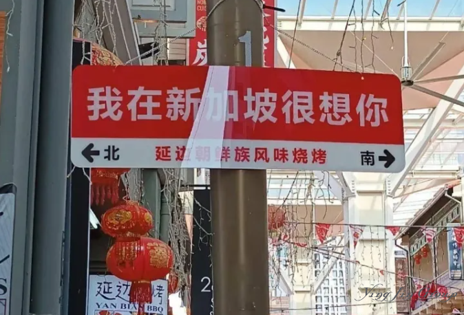 新加坡华人正在消失？选了个印度总统，文化就没了？