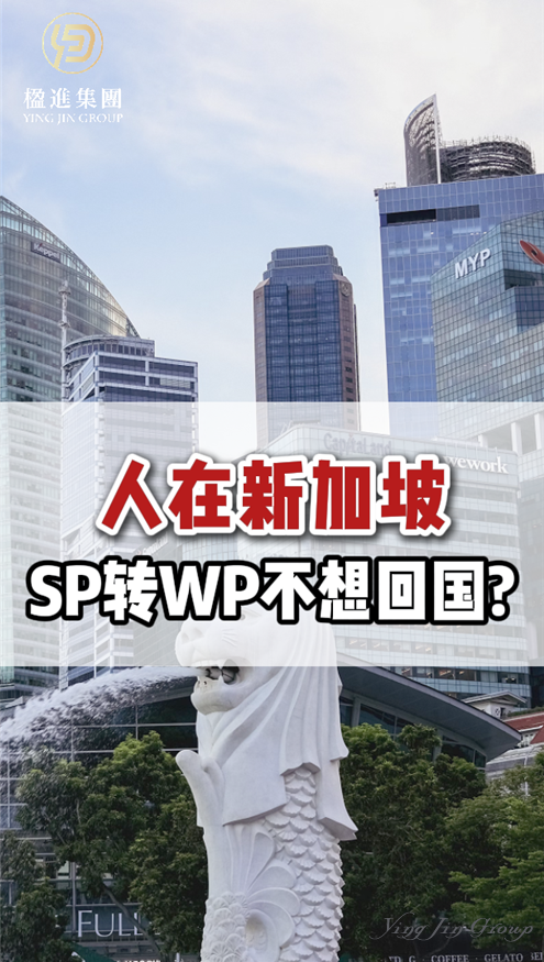 人在新加坡，SP转WP不想回国？