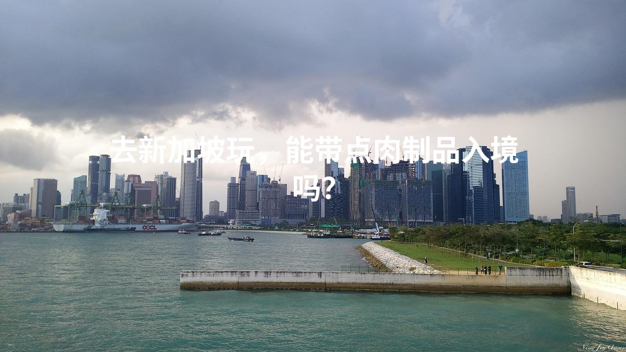去新加坡玩，能带点肉制品入境吗？