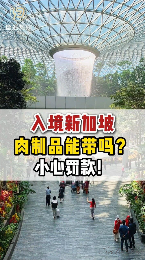 入境新加坡，肉制品能带吗？小心罚款！