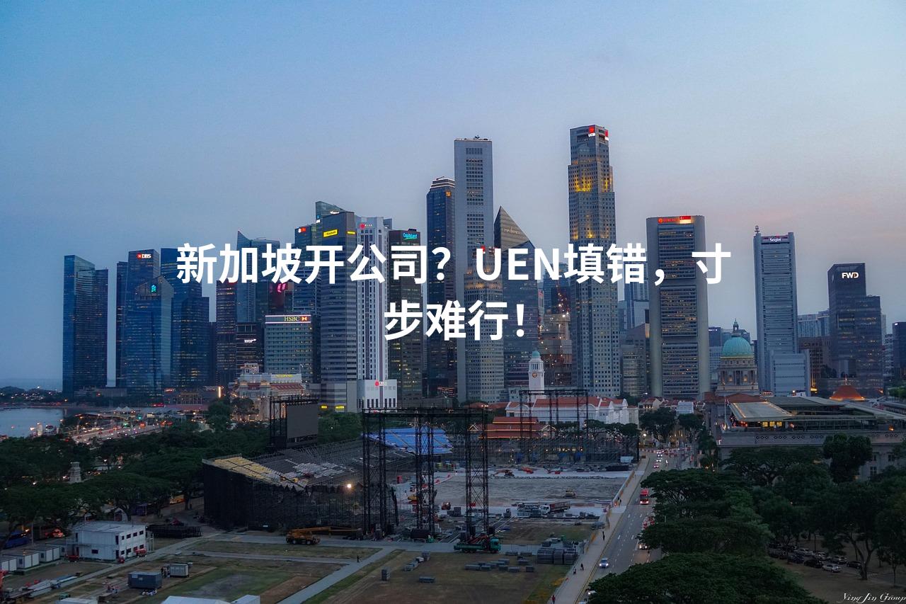 新加坡开公司？UEN填错，寸步难行！
