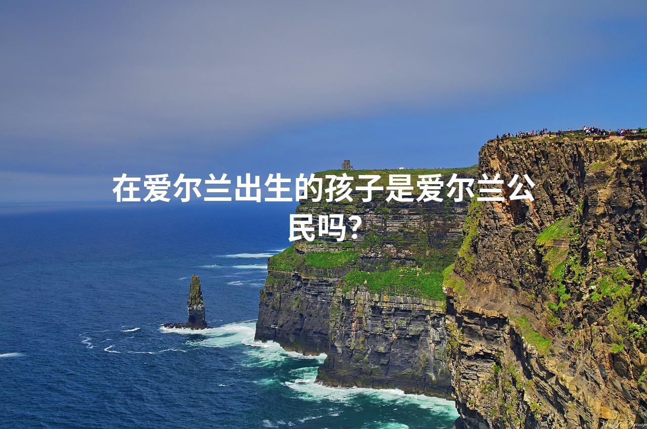 在爱尔兰出生的孩子是爱尔兰公民吗？