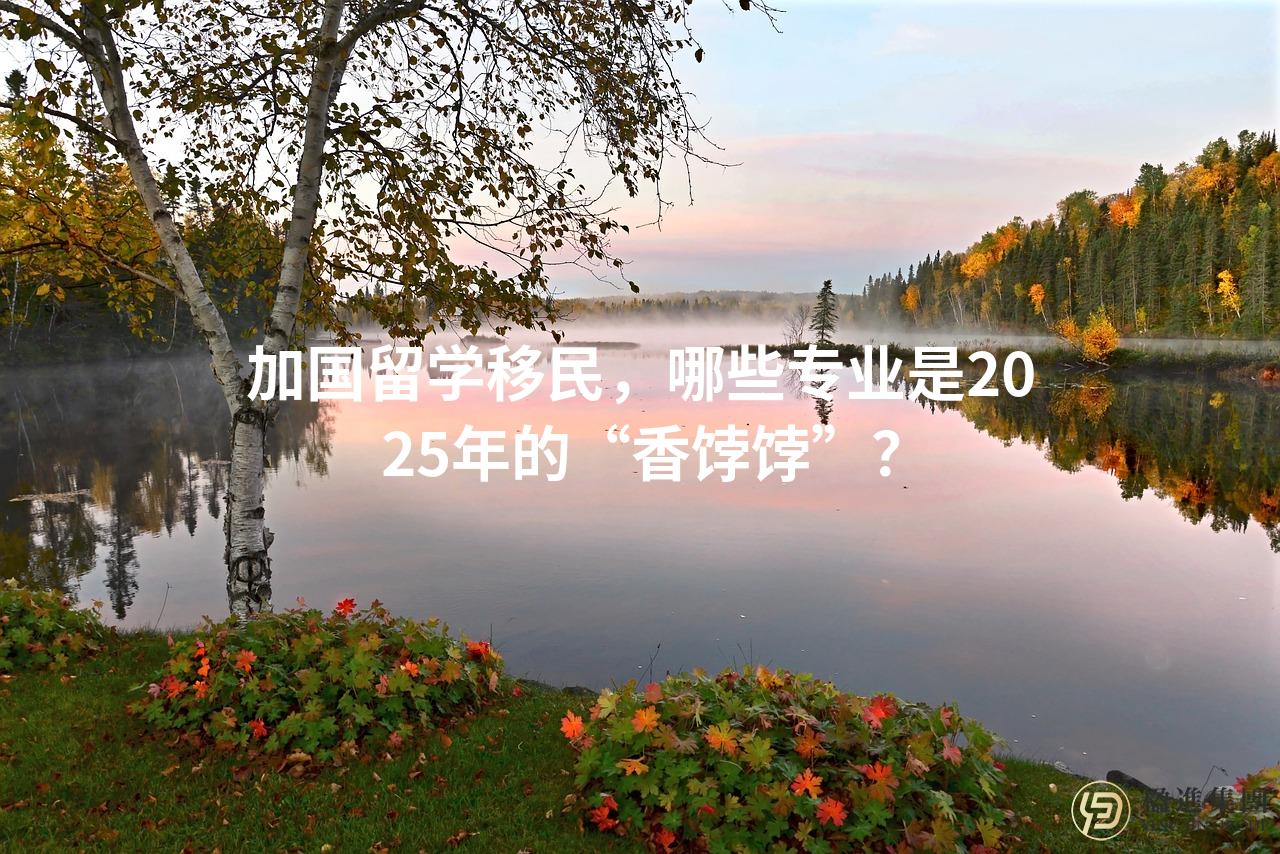 加国留学移民，哪些专业是2025年的“香饽饽”？