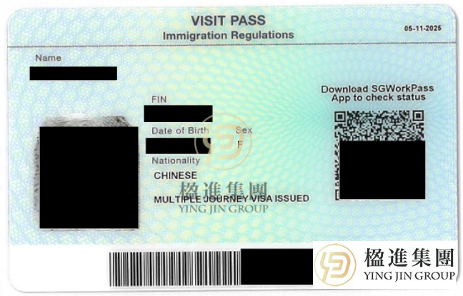 新加坡3类准证对比：申请条件、续签、家属政策，一篇看懂！