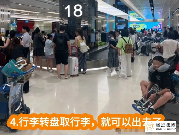 中国公民新加坡入境卡在线填申请全攻略