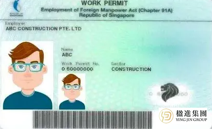 赴新必看！WP/SP/EP/PR全准证申请+避坑指南，看这篇就够了