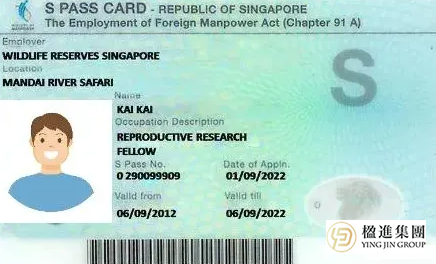 赴新必看！WP/SP/EP/PR全准证申请+避坑指南，看这篇就够了