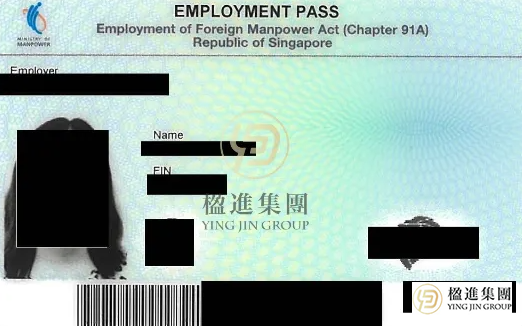 赴新必看！WP/SP/EP/PR全准证申请+避坑指南，看这篇就够了