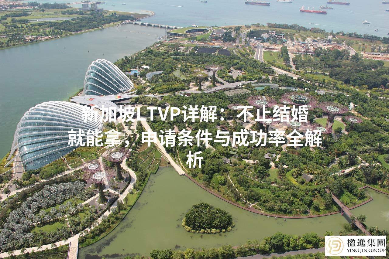 新加坡LTVP详解：不止结婚就能拿，申请条件与成功率全解析