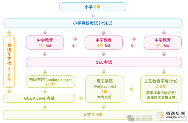 新加坡低龄留学指南：政府校vs国际校vs私立校，费用全解析