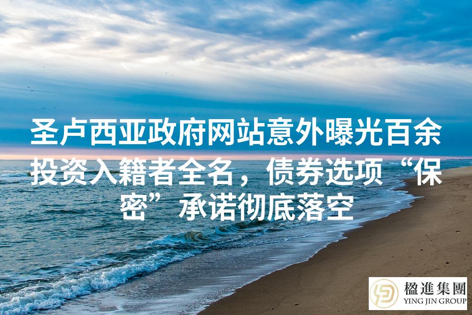 圣卢西亚政府网站意外曝光百余投资入籍者全名，债券选项“保密”承