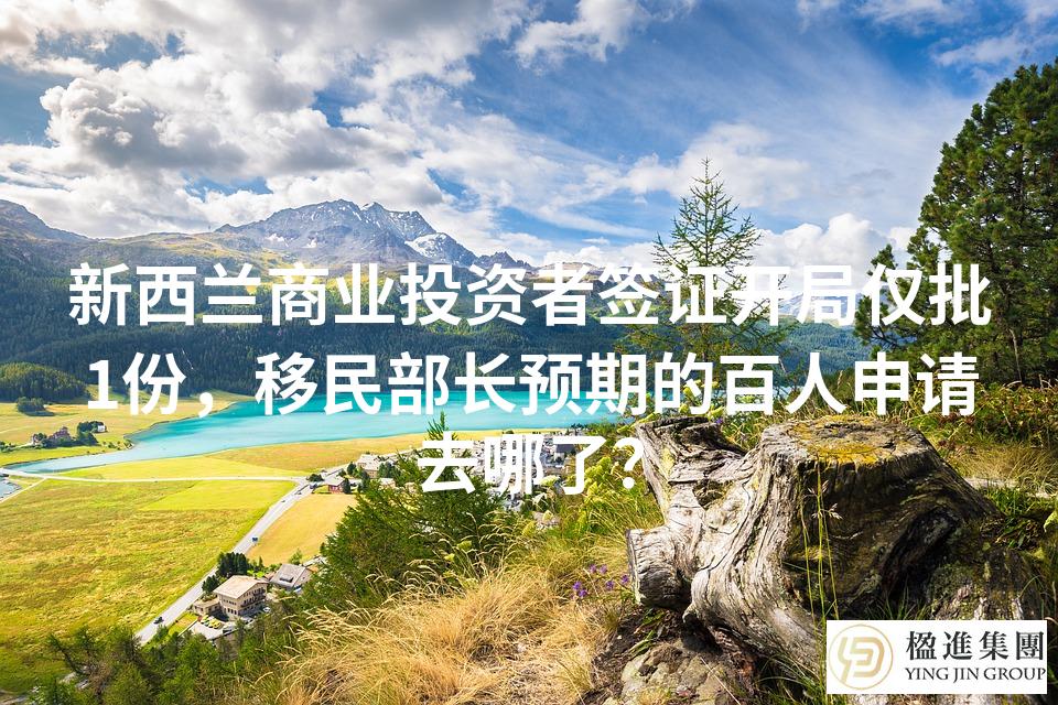 新西兰商业投资者签证开局仅批1份，移民部长预期的百人申请去哪了？