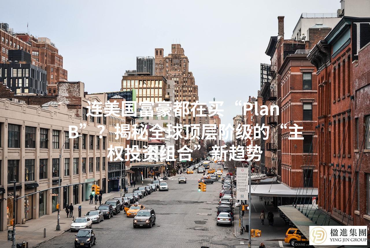连美国富豪都在买“Plan B”？揭秘全球顶层阶级的“主权投资组合”新趋势