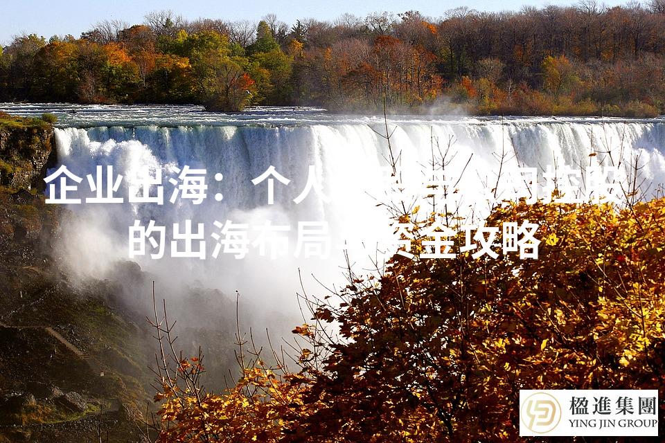 企业出海：个人控股与公司控股的出海布局与资金攻略