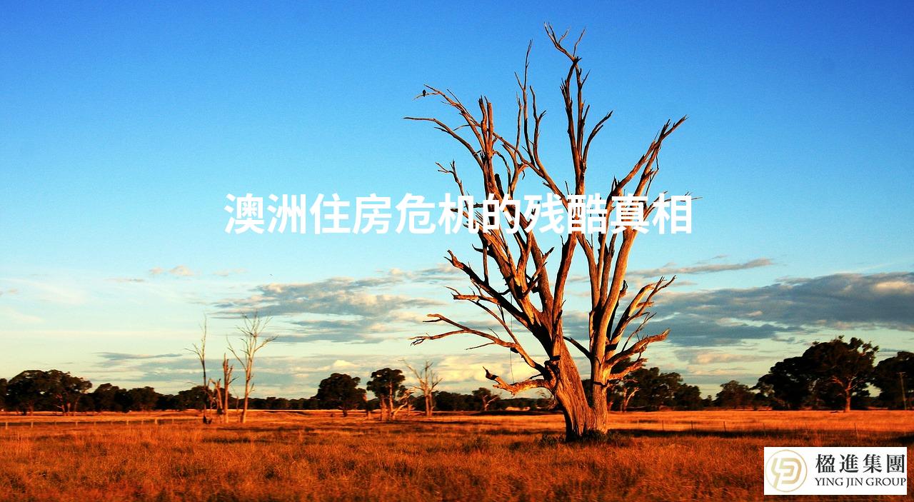 澳洲住房危机的残酷真相