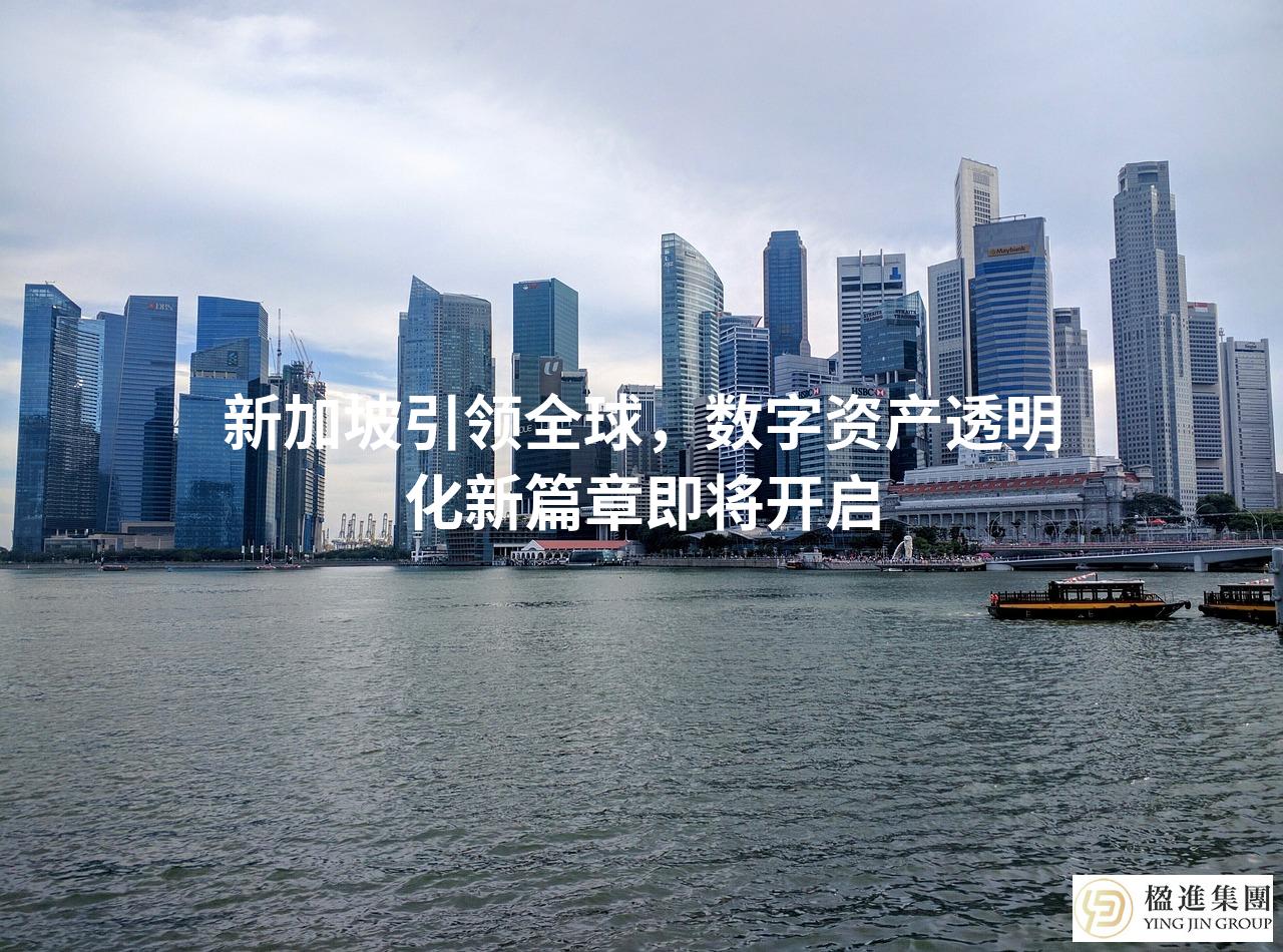 新加坡引领全球，数字资产透明化新篇章即将开启