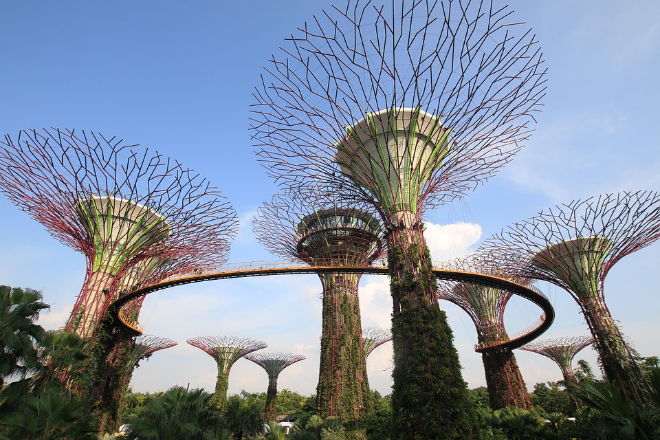 2019新加坡的吸引力到底在哪里？