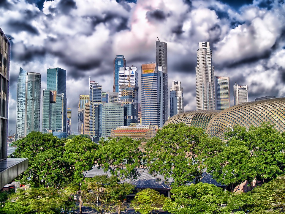 新加坡永久居民申请和2019冠状病毒