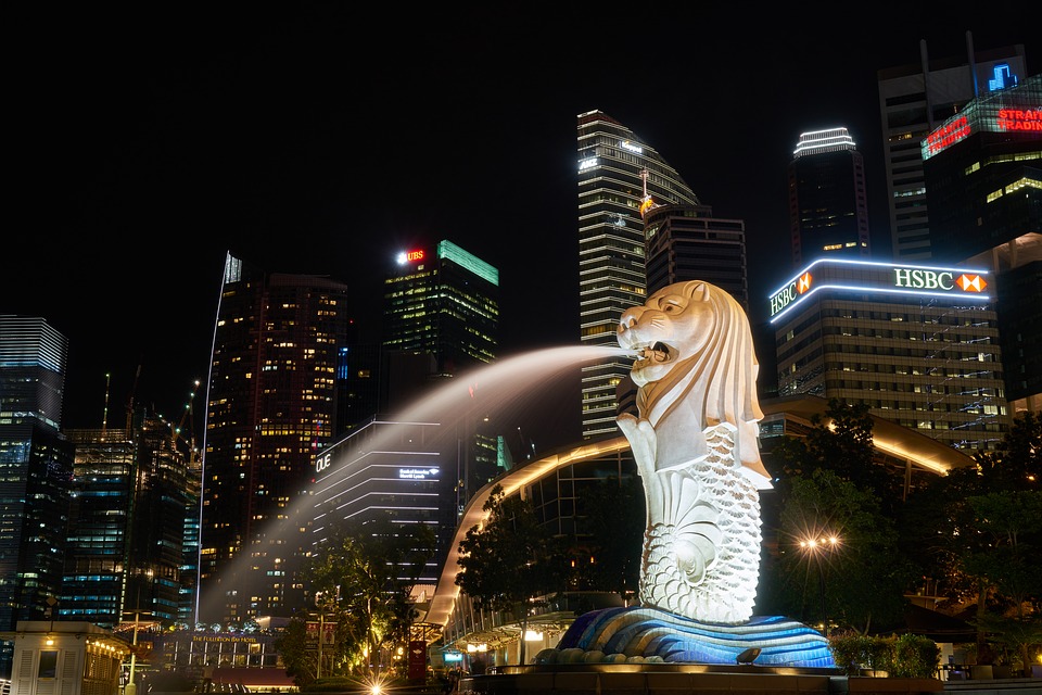 新加坡移民中成功的关键是哪个步骤？